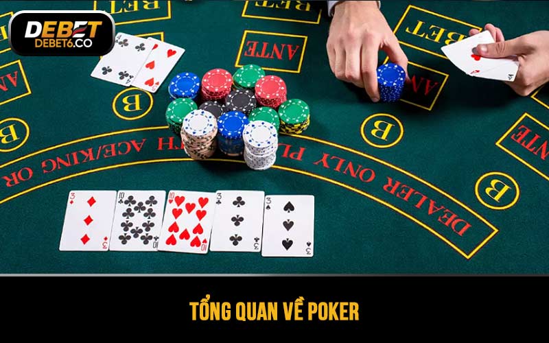 Tổng quan về Poker